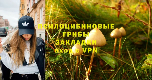 амфетамин Алексин