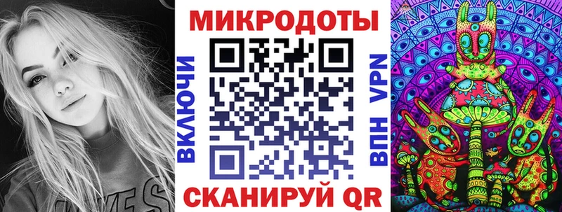 магазин    Юрьев-Польский  Псилоцибиновые грибы прущие грибы 