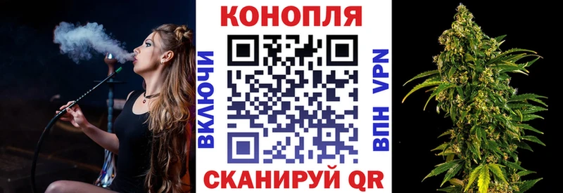MEGA ONION  Юрьев-Польский  Бошки Шишки тримм 